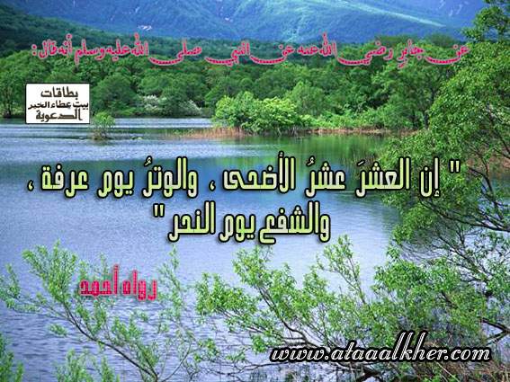 فضل العشر من ذى الحجة Download