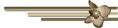 0 (12)