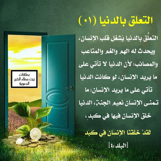 ������ ���� ������ �� ���� ������